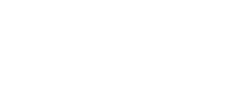 BIG WAVE 로고